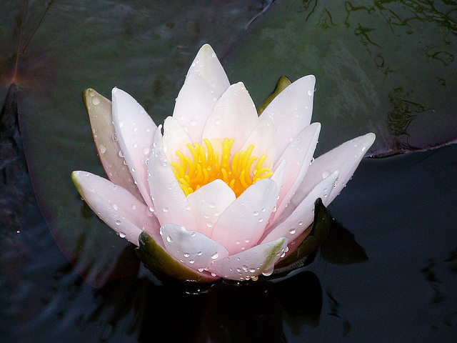 Masters by coursework to phd image